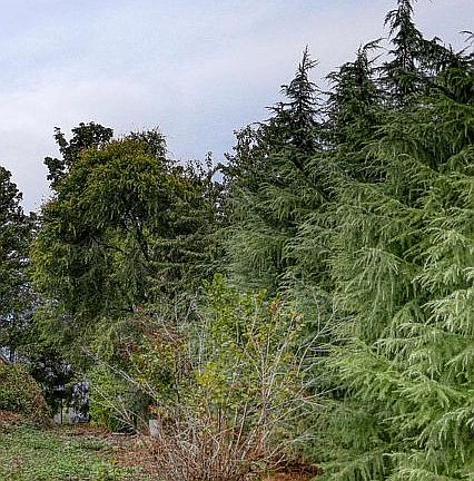 Where the lot and the adjace