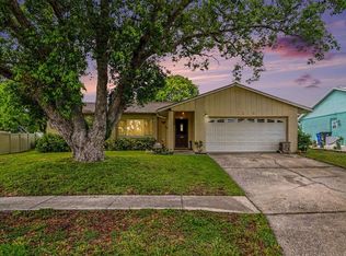 2815 Linden Tree St, Seffner, FL 33584
