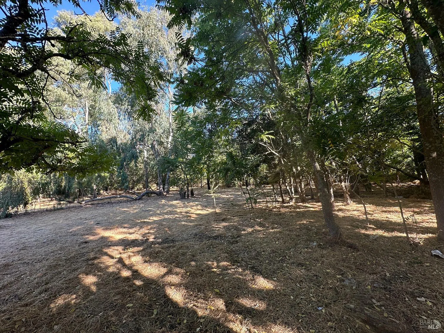 200 - 250 Napa Road photo 1