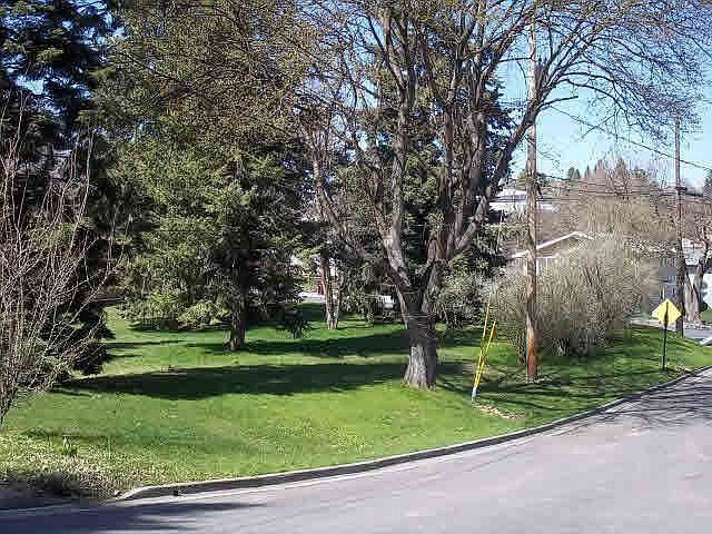 1st image of LOT 1 SW 3rd St