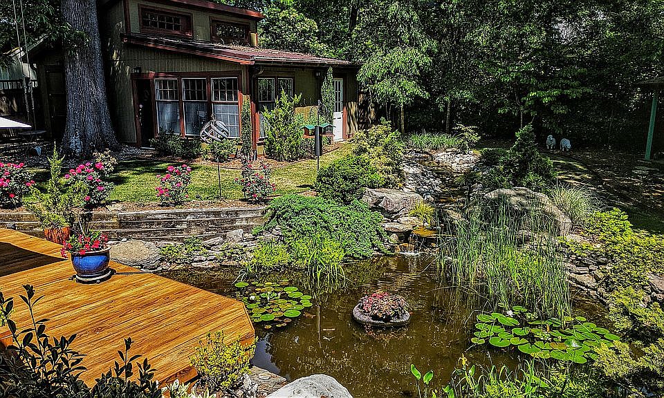 View from Living Room