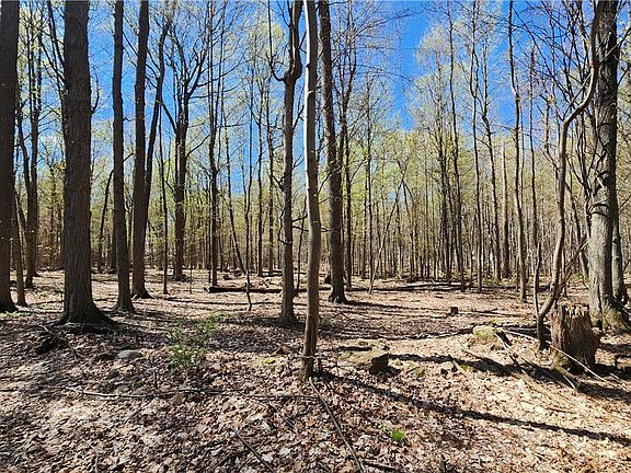 3rd image of Straub Rd Lot 14