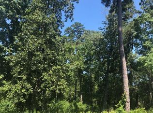 27911 Hansons Ct, Spring, TX 77386