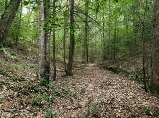 Adams Ln, Mooresburg, TN 37811