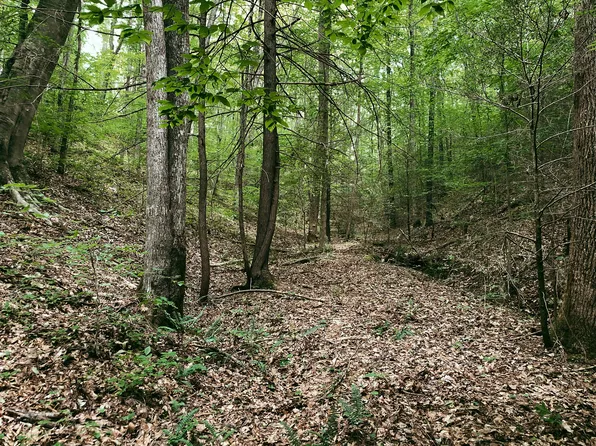 Adams Ln, Mooresburg, TN 37811