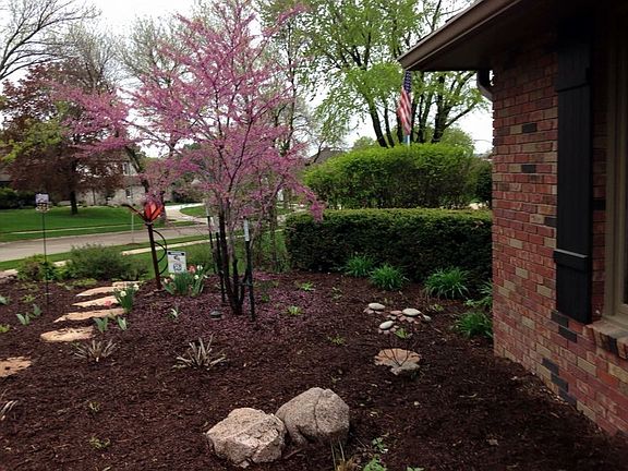 5th image of 9921 Essex Dr