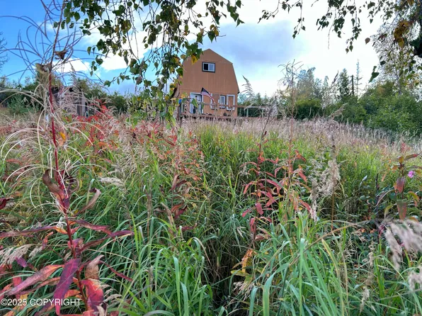 L18 B Rd #3, Skwentna, AK 99667