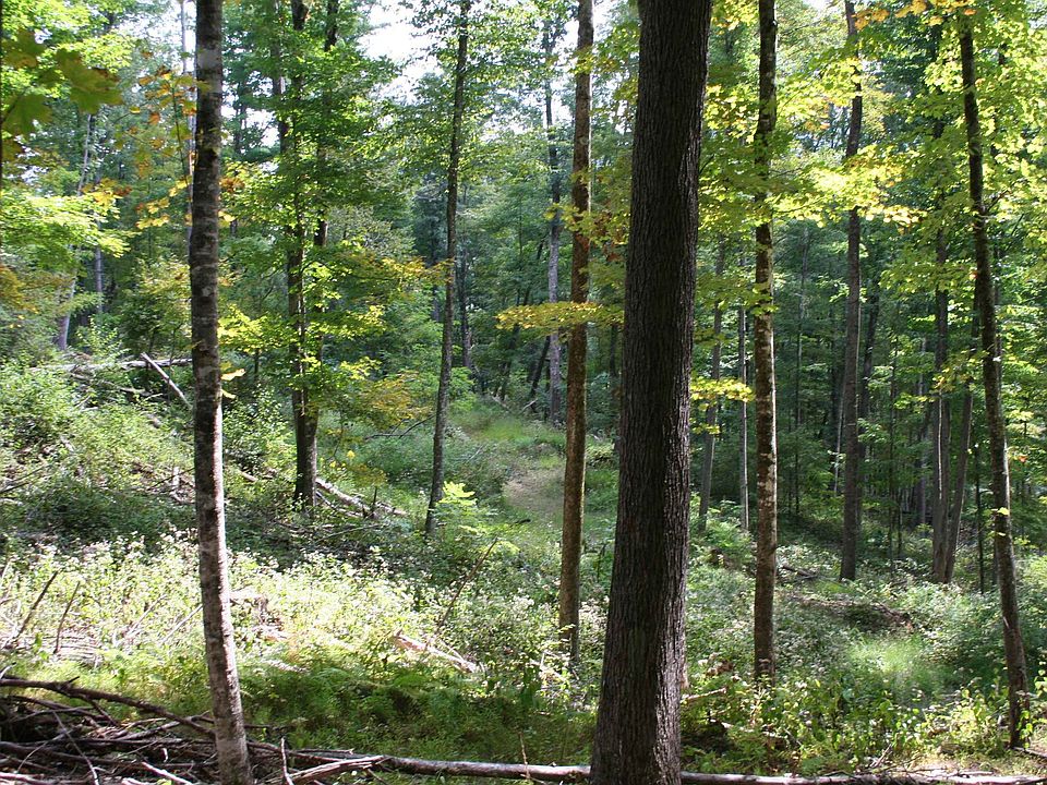 2 Highland Tpke, Monterey, VA 24465 Zillow