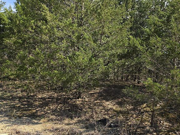 4th image of 000 Beeler Road