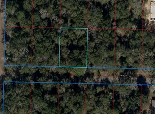09311-010-00 NE 13th Ln, Williston, FL 32696