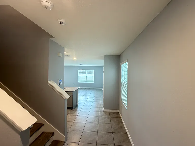 17029 Blister Wing Dr — Photo 10