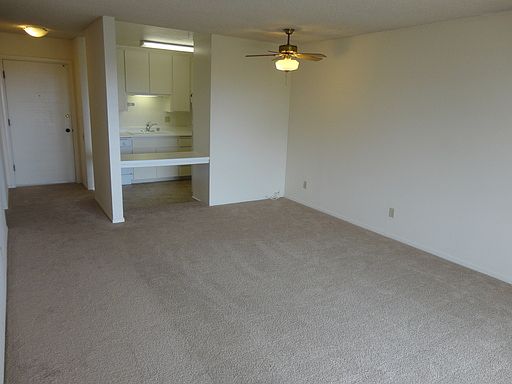 3rd image of 870 Diamond St APT 303