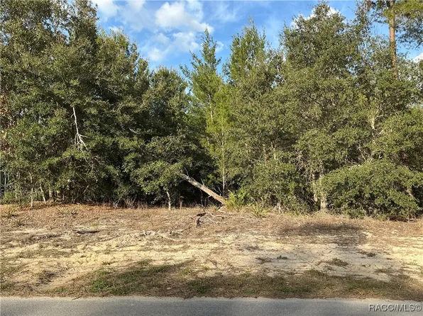 51 Grass St, Homosassa, FL 34446