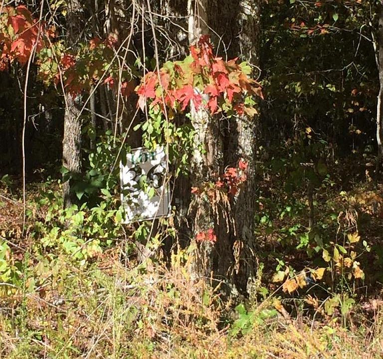 1st image of Brushy Fork Way