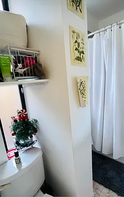 Rented by Compass | media 12