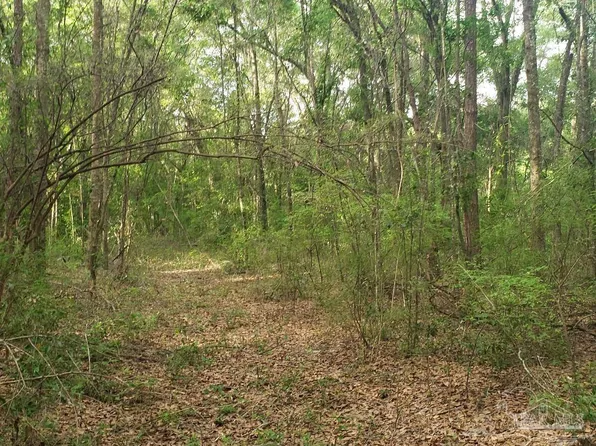 1 Sanders St, Milton, FL 32570