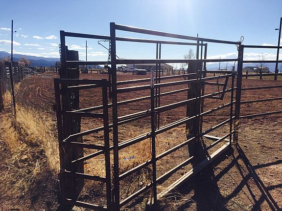 Steer catch pen 