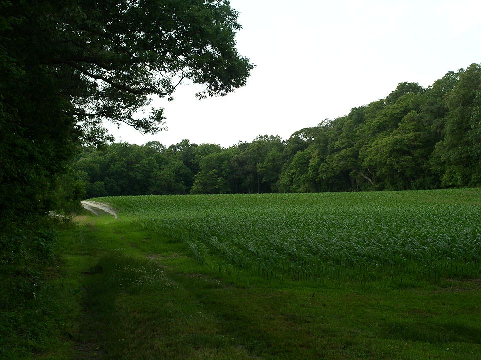 1st image of Piney Neck Rd