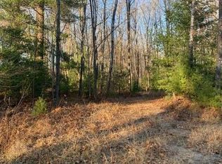 On Pinconning Rd, Beaverton, MI 48612