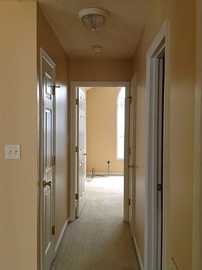 4th image of 432 Chester Lake Pl