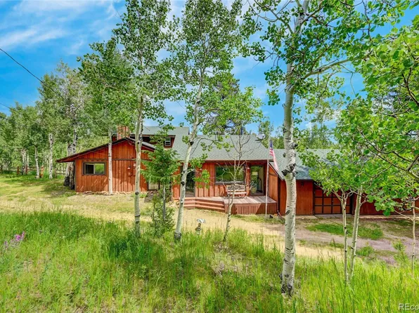 827 S Pine Drive, Bailey, CO 80421