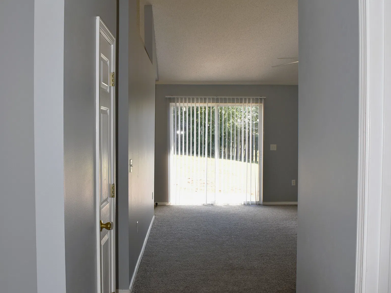 Travis Court 804 - 366 — Photo 3
