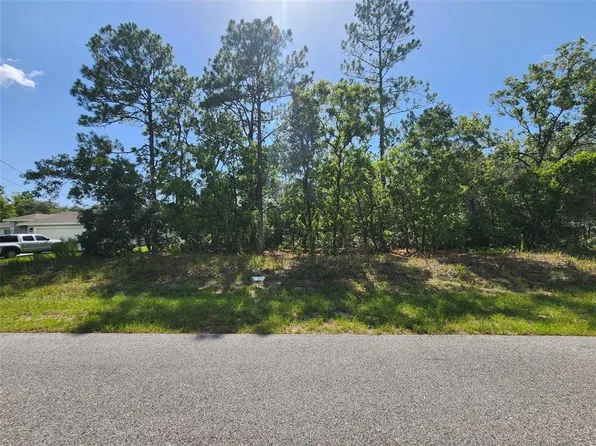 9712 N Lovell Dr, Citrus Springs, FL 34433
