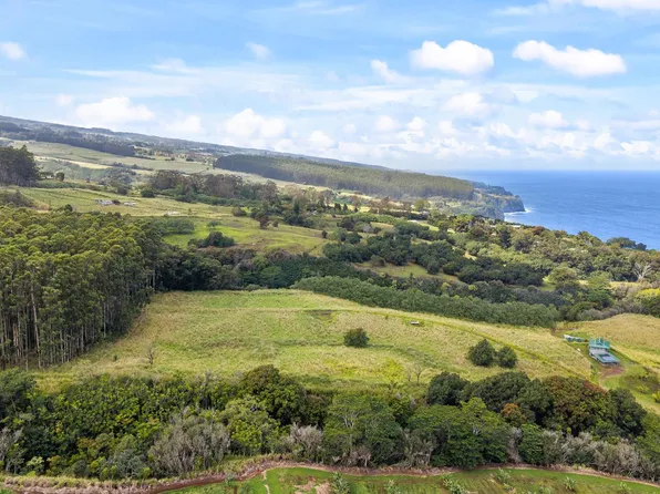 34-1219 Hawaii Belt Rd, Papaaloa, HI 96780