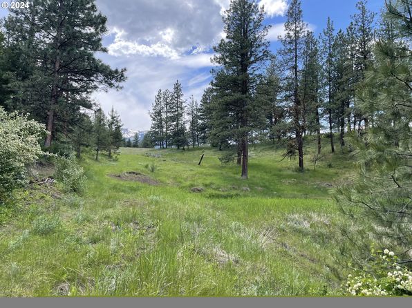 62254 Wallowa Mountain Rd, Joseph, OR 97846