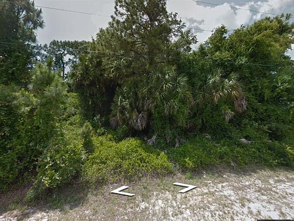 4th image of Lopinto St
