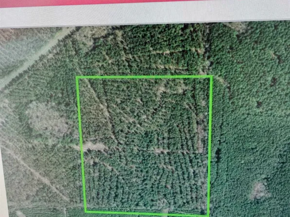 0 Highway 520, Homer, LA 71040