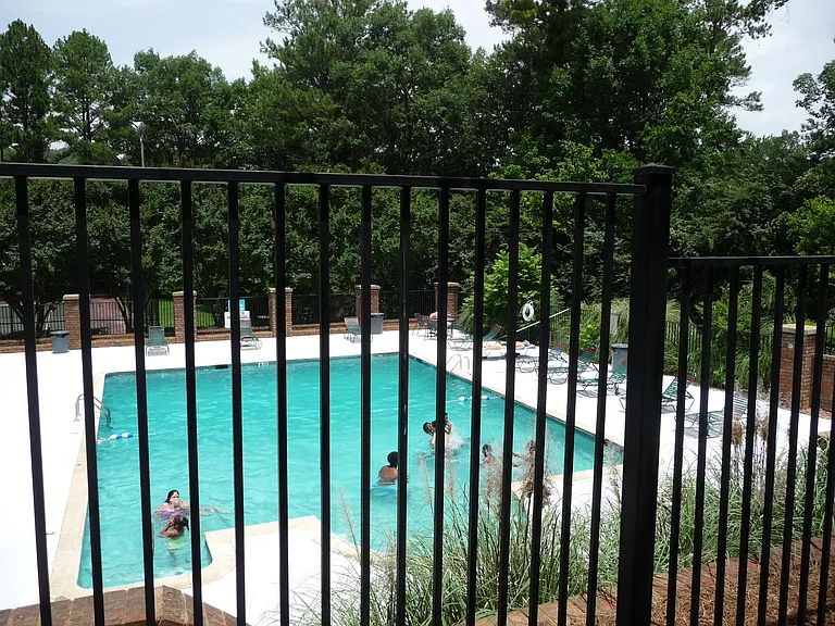 The swimming pool