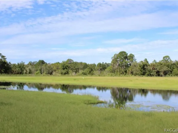 7690 W Longfellow St, Homosassa, FL 34448