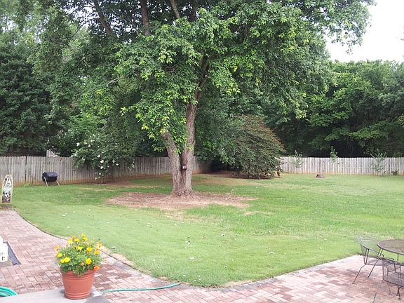 Left back yard