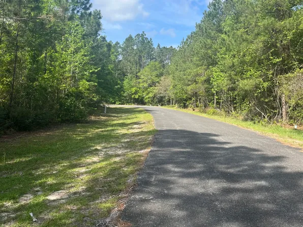 0 Branch Creek Rd, Woodbine, GA 31569