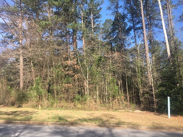 2nd image of 983 Jordan Way Lot 0