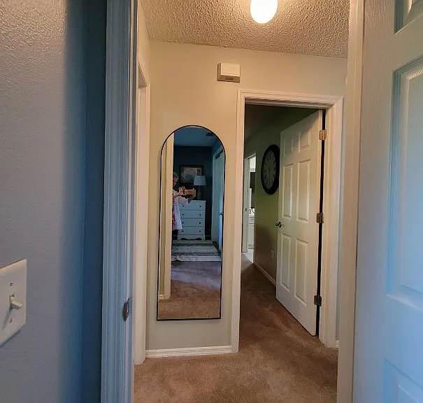 2845 Barboza Dr — Photo 22