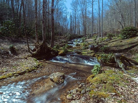 4th image of 31 Rainbow Trout Dr