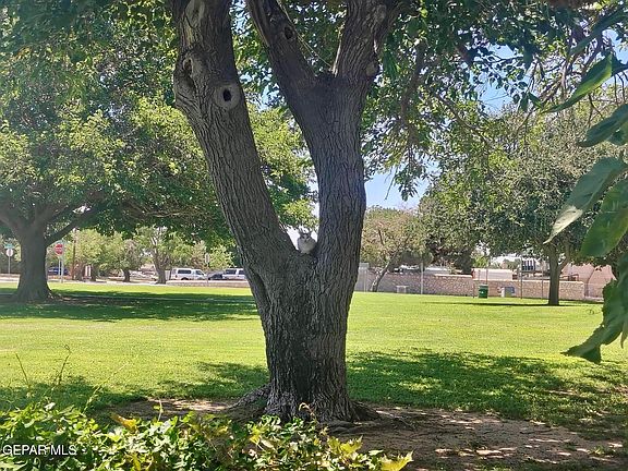 4th image of 3305 Tyrone Rd