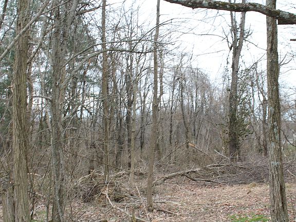 2nd image of 8810 State Highway 1247