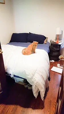 Rented by Urban Pads | media 30