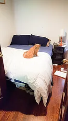 Rented by Urban Pads