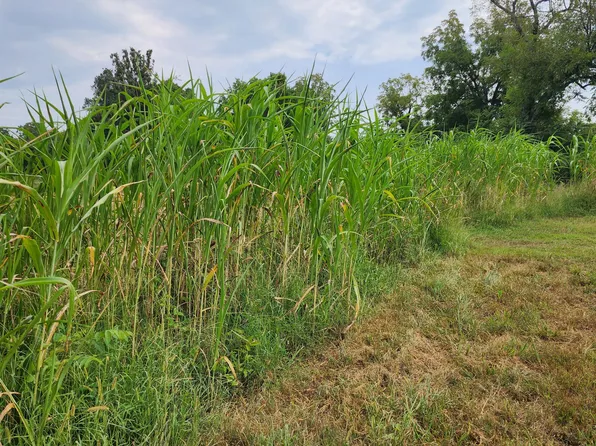 000 Rail Hollow Road, Theodosia, MO 65761