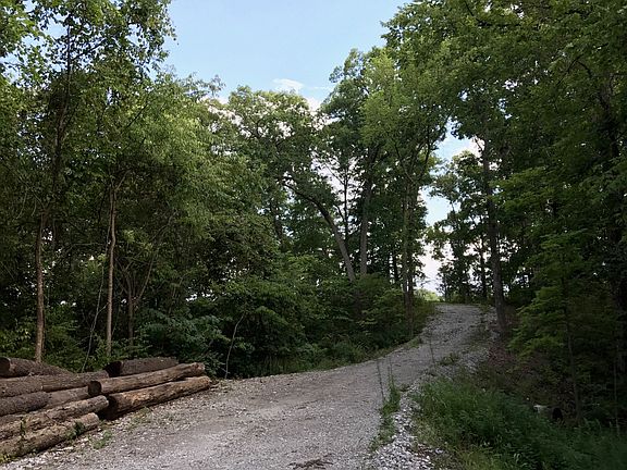 Hardwoods!