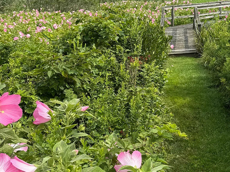 493 Sagaponack Rd — Photo 21