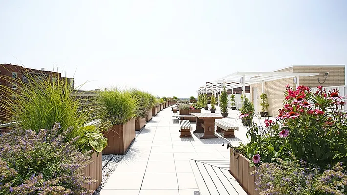 Rented by The Dermot Realty Management Company | media 17