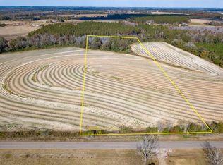 D Hodge Rd, Cottonwood, AL 36320