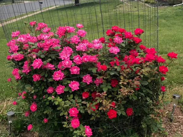 2304 Deerfield Dr, Edison, NJ 08820