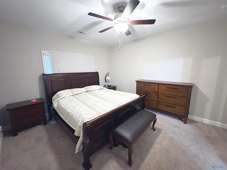 29419 Canoe Cir — Photo 27