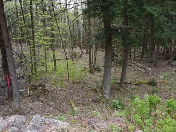 00 Hanover Drive #217, Haverhill, NH 03785